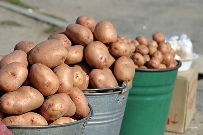 Купля-продажа картофеля