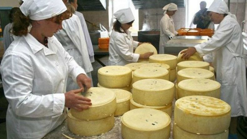 Производство сыра в домашних условиях.jpeg