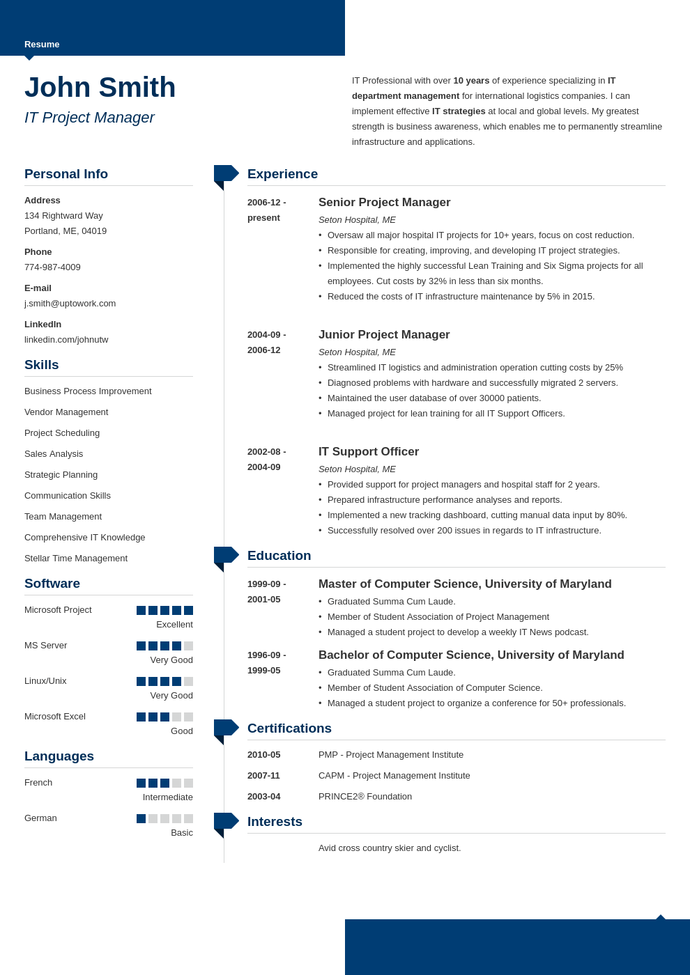 Professional CV Template Modern