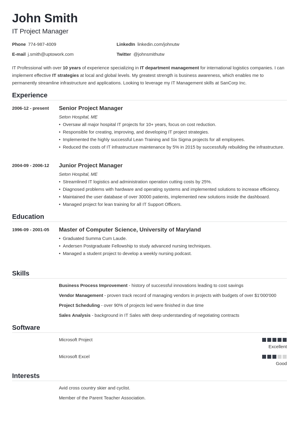 Professional CV Template Nanica