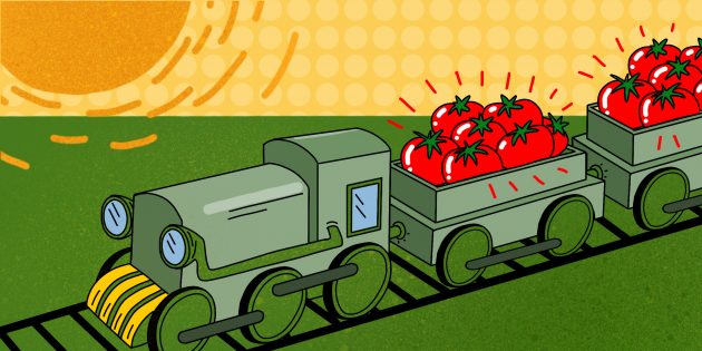 Каждый день с августа по ноябрь «Агропромышленный комплекс Астраханский» перерабатывает 5 000 тонн помидоров