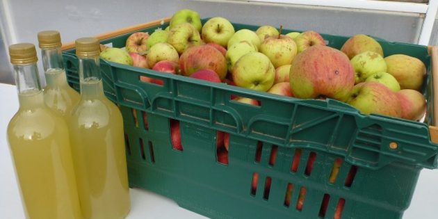 Как приготовить яблочный сидр в домашних условиях: простой рецепт
