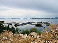 Aquaculture Western Greece 2004.jpg