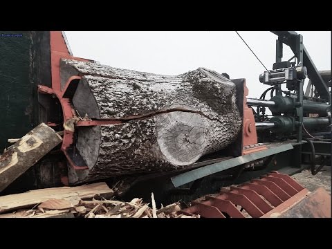 Как заготавливают дрова в европе. Часть 1. Как нарубить камаз дров.