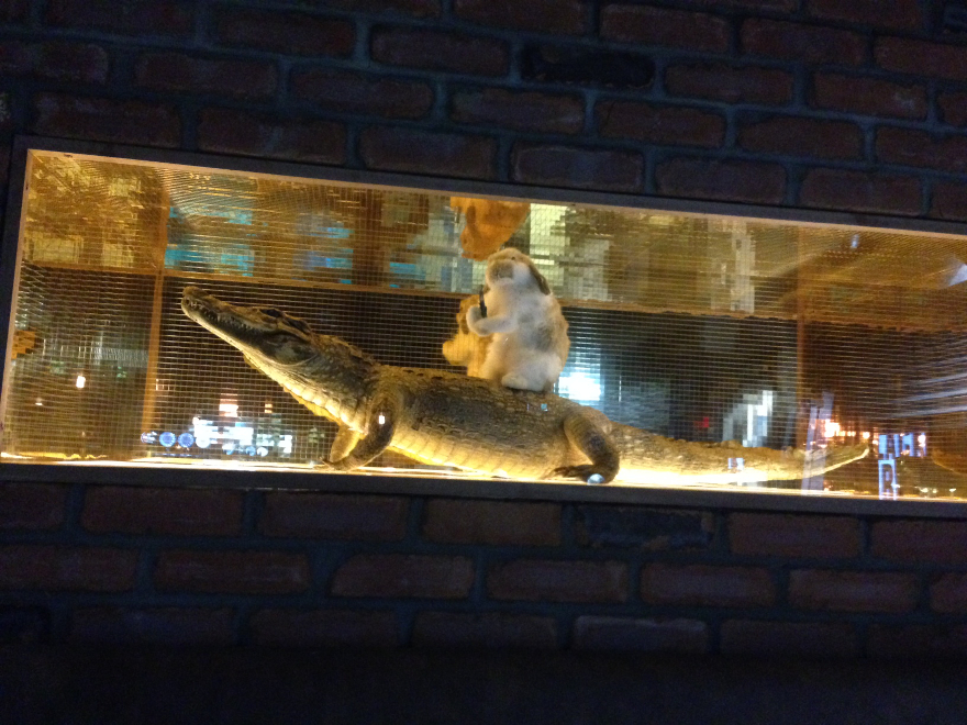 Чучело кролика и крокодила в интерьере ресторана The Black Rabbit Shot Company