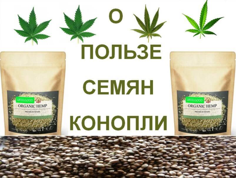 Лучший сайт с семенами конопли opt ncsemena ru