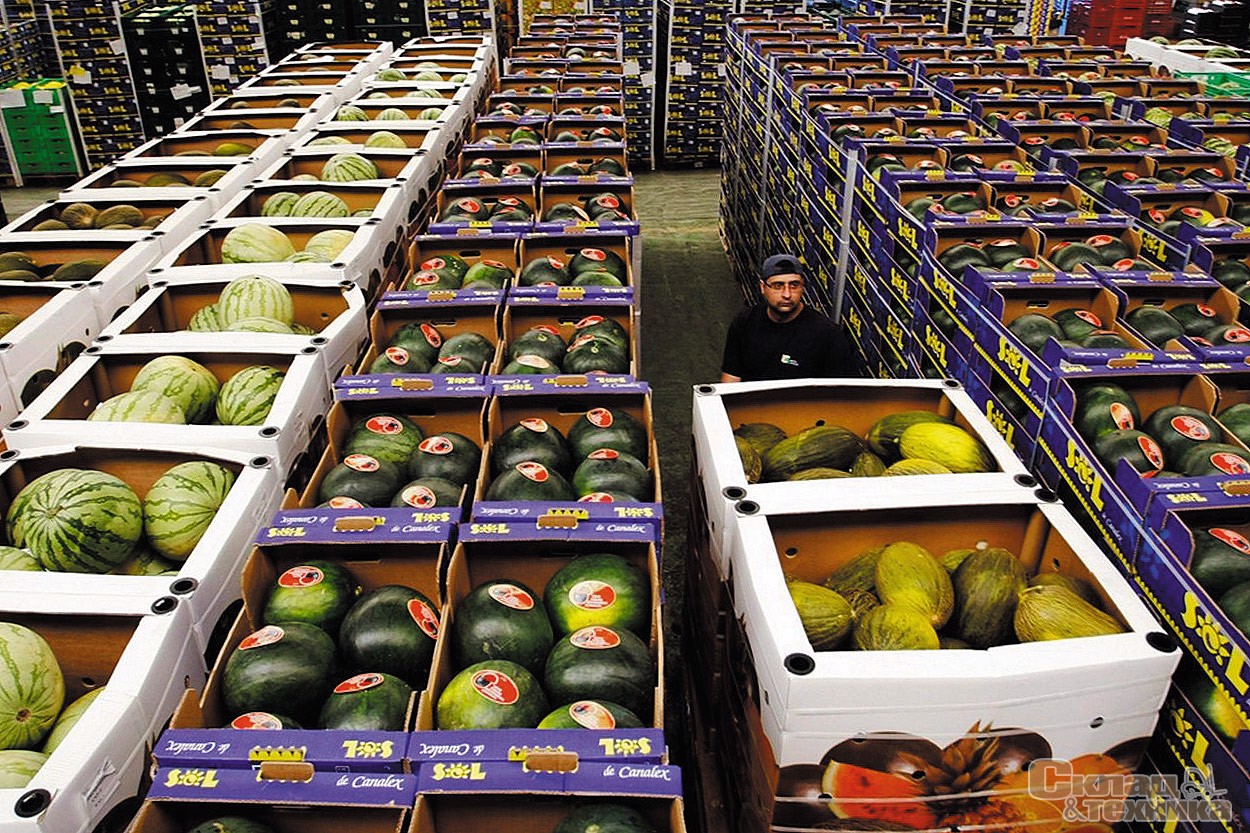Оценка структуры затрат на строительство склада для хранения овощей и фруктов полного цикла, %