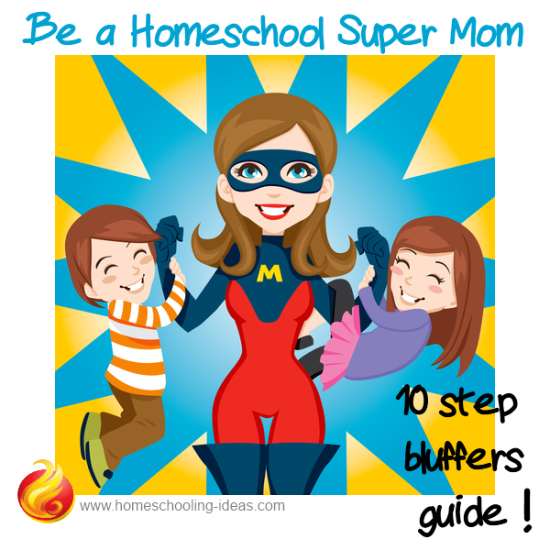 Homeschool SuperMom Bluffers Guide