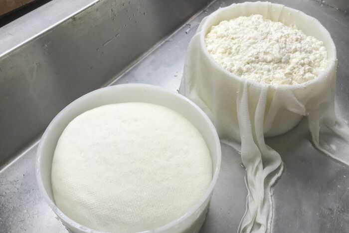 Формирование сырной массы в формах для сыра.